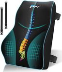 POOTACK Lumbar Support Cushion - Me