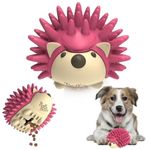 BellaBoo Pets Interactive Dog Toy for Strong Chewers - Freddy The Hedgehog All-in-One Treat Ball + Food Dispensing Slow Feeder Dog IQ Puzzle + Dental Chew Toy for Medium and Large Breed Dogs (Pink)