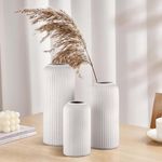 TheKraftLane Ceramic 'White Flute Vase' 10 Inch - Set of 3 | Decorative Flute Vase for Dried Flowers and Pampas Grass | Vases for Home Decor, Living Room, Office Decor Ideas