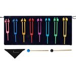 Chakra Tuning Forks Set, 7 Chakra and 1 Soul Purpose Weighted Tuning Forks with 2 Silicone Hammer, Bag, Cleaning Cloth, for Healing, Sound Therapy, Musical Instrument, Balancing, Vibration (Colorful)