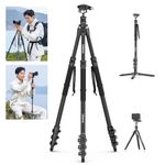Ulanzi TT35 Hiking Stick Tripod Kit, Travel Camera Tripod Monopod, 57.48" Detachable Carbon Fiber Tripod Stand Kit with 3 Hiking Pole & Mini Tripod & Removable Arca QR for DSLR Camera Camcorder