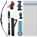 Recurve Bow and Arrow Set for Adults, Youth Bow and Arrow Set Takedown Archery Recurve Bow with 12pcs Arrows for Adults Youth Teens Beginners Right Left Hand Black - 30lbs