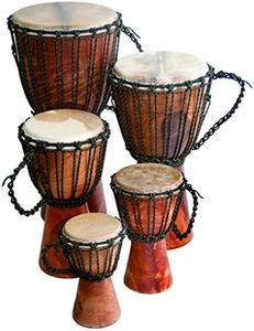 Terre Djembe Beginner Drum 24" Tall 9-10.5" Head Mahogany Wood Goat Skin
