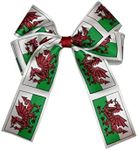 Hand-Made Wales Welsh National Flag Inspired Hair Bows - Girls Hair Accessories - Welsh Gifts - St Davids Day - Hair Styling Accessories - Girls Hair Clips - Gifts for Women