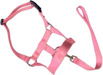 Adjustable Dog Head Halter - Effective Anti-Pulling Training Collar with Nose and Neck Straps - Comfortable, Lightweight, and High-Quality Harness Design for Improved Walks