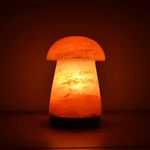 H&H HOMEDECOR LTD H&H Himalayan Pink Salt Lamp Natural Hand Crafted Lamp Crystal Rock Salt Lamp Healing Ionizer Table Lamp with Wooden Base Decorative Gift (VASS Lamp)