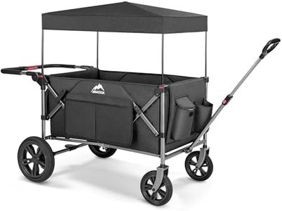 Foldable Wagons for Two Kids & Cargo, with 5-Point Harnesses,Adjustable Push/Pull Handle, Removable Sun Canopy, One-Step Locking Design, Suitable for Family Travel, Two Children Ride, Black