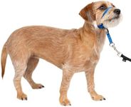 PetSafe Gentle Leader Headcollar No