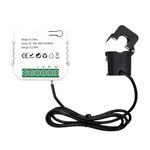 POFET Smart Meter Energy Monitor WiFi Electricity Usage Monitor 80A Compatible with Tuya Smart Life