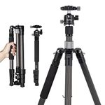 SMALLRIG 62" Carbon Fiber Camera Tripod, AP-20 Lightweight Travel Tripod Monopod with Center Column, 360°Ball Head, Quick Release Plate for Arca-Swiss, Load up to 26.5 lbs/12 kg - 4059