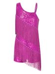 CHICTRY Kids Girls Sequins Rhinestone Fringe Tassel Leotard Dress Latin Jazz Tango Rumba Samba Dance Dress Ballroom Dancewear Hot Pink 9-10 Years