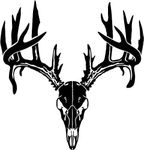 Deer Buck Skull Antlers Hunter Hunting Sportsman Car Truck Windows Decal Sticker - Die cut vinyl decal for windows, cars, trucks, tool boxes, laptops, MacBook - virtually any hard, smooth surface