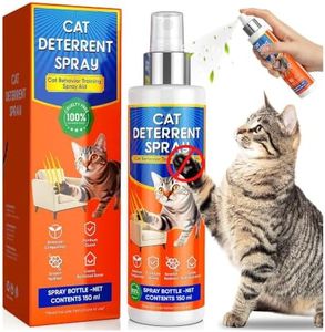reatoy Cat