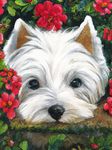 Ginfonr 5D Diamond Painting Kits White Dog Puppie Full Drill by Number Kits, Pet DIY Paint with Diamonds Art Rhinestone Craft Decor for Home (12x16inch) ai-16