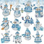 12Pcs Snow