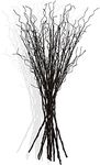 FLOERVE 12 Pcs Artificial Curly Willow Branches Plants Decorative Brown Twig Stems Spray Tall for Vase DIY Crafts Wedding Floral Arrangement Home Decor Indoor