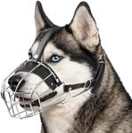CleverTail Metal Husky Muzzle for Large Sized Dog – Basket Muzzle for Dogs with Adjustable Leather Straps – Steel Cage Dog Muzzle to Prevent Biting and Eating – Mouth Guard for Large and Medium Dogs