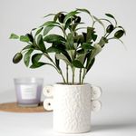 Anko Artificial Olive Tree in Pot | 27cm x 20cm x 16cm |Textured Stoneware Vase Design | Show Piece for Home Decor, Office Desk, Bedroom, Balcony, Living Room, Table Top | Realistic Decorative Item