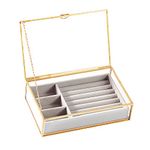 Golden Vintage Clear Glass Jewelry Box with Gray Velvet Organizer (8.3x5.3x2 ​in)