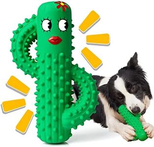 Rmolitty Giochi per Cani, Giochi per Cani Indistruttibile, Bastoncino per La Pulizia dei Denti in Gomma Resistente ai Morsi per Cani di Piccola e Media Taglia (cactus)