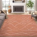 JINCHAN Antibacterial 8x10 Area Rug Living Room Bedroom Large Washable Rug Boho Nursey Carpet Non Slip Brick Red Mat for Kids Dinning Room