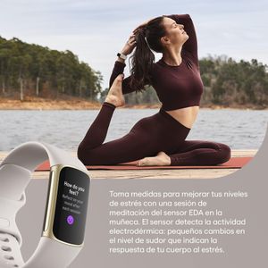 Fitbit Charge 5 Activity Tracker – Steel Blue