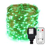 Erchen Plug in Fairy Lights, 100 FT 30M 300 LED Dimmable Copper Wire LED Starry String Lights with 12V DC Power Adapter Remote Control for Wedding Christmas Party Bedroom (Green)