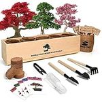 Meekear Bonsai Tree Kit with Comple