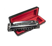 BJ Blues 281520 Folk Blues 10-Hole Diatonic Harmonica,Silver