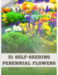 Self Seeding Perennials