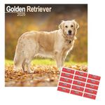 Golden Retriever Calendar 2025 | 16 months | with FREE Organisational Stickers