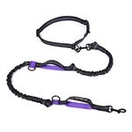Mile High Life | Retractable Hands Free Dog Leash | Waist Running Adjustable | Reflective Dual Bungees | Dual Handles | Small Medium Large Dogs | (Purple)