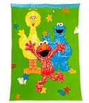Sesame Street Toddler Blanket - Elm