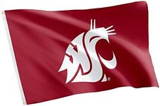 Desert Cactus Washington State University Flag Cougars Banners 100% Polyester Indoor Outdoor 3x5 feet Flags (Style 2)