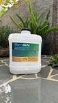 SlurrySafe Acid Replacement Concent