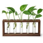 THYGIFTREE Wall Mounted Propagation Tubes,Hanging Plant Propagation Station Test Tube Wooden Stand with 5 Test Tube Perfect for Hydroponic Cuttings, Desktop terrarium plants Vase Home Decor Gifts