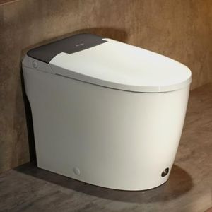 Casta Diva Elongated One Piece Toilet with 17.2" ADA Comfort Height Seat Modern Toilet for Bathroom 1.0GPF Button & Foot Kick Flush, Air Pressure Assisted Flush, 12'' Rough-in, Dark Gray