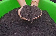 leaf mould compost for plants 2.9 kg