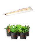 SPIDER FARMER SF-300 Grow Lights for Indoor Plants 2x2.5 ft Led Grow Light Full Spectrum 192 Diodes LEDs Sunlike Plant Growing Lamp Hydroponics Seedling Veg Flower