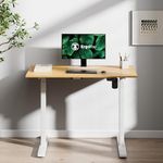 ErgoYou Electric Height Adjustable Table Motorized Ergonomic Sit Stand Desk - 90 Kgs Max Weight Capacity - SM3 Series - 59 X 29.5 Inches - Maple Laminate Table Top