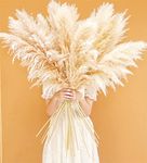 Bannifll 46-inch Natural Pampas Grass Decor Tall with 10 Stems. Perfect for Weddings, Parties, Farmhouse, and Boho Home Decor.