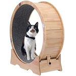 Cat Exercise Wheel Indoor Treadmill