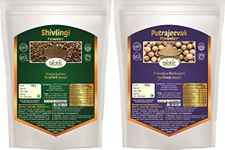 Biotic Shivlingi Seed Powder and Putrajivak Seed Powder (100gm each) Shivlingi Beej Powder - Bryonia Laciniosa - Putrajeevak Beej Powder - Putrajivak Seeds Powder - 200gm