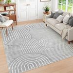 Lahome Abstract Area Rugs 8x10, Non Slip Washable Rugs for Living Room 8x10 Rug, Soft Grey Bedroom Rug 8x10 Under Bed Ultra-Thin Stain Resistance Accent Carpet for Dining Room Office(8x10ft,Gray)