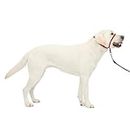 PetSafe Gentle Leader No-Pull Dog Headcollar - The Ultimate Solution to Pulling - Redirects Your Dog's Pulling for Easier Walks - Helps You Regain Control - Large, Red