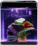 Betta Fish Tank Self Cleaning Glass 2 Gallon Small Nano Aquarium Starter Kits Desktop Room Decor w/LED Light Decorations & Whisper Filters Water Pump (Fish Tank)