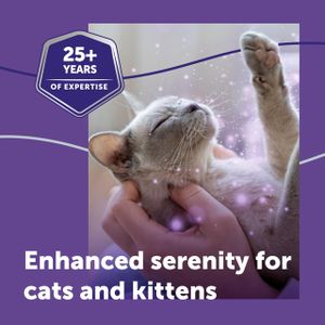FELIWAY Optimum Cat Calming Diffuser – Stress Relief for Cats