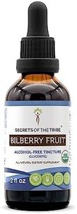 Secrets of the Tribe Bilberry Fruit USDA Organic | Alcohol-Free Extract, High-Potency Herbal Drops, Vision | Made from 100% Certified Organic Bilberry (Vaccinium Myrtillus) Dried Fruit 2 oz