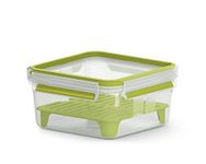 Emsa Clip&Go N1071700 Sandwich Box, Plastic, Transparent/Light Green