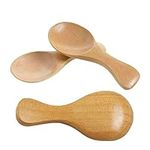 Aysekone 3 Pack Mini Wooden Spoons 